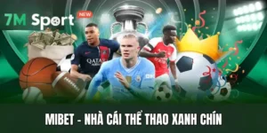 Mibet - Nhà Cái Thể Thao Xanh Chín, Tỷ Lệ Kèo Thơm 6 Mibet - Nhà Cái Thể Thao Xanh Chín, Tỷ Lệ Kèo Thơm